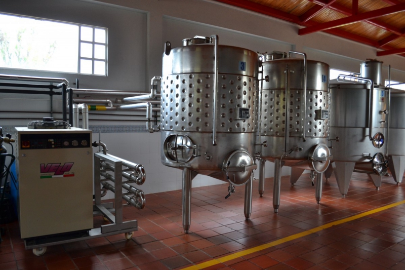 cave-BEUIL-min_wine_production_cantine_winery_drink_alcohol_vine_beverage-902036